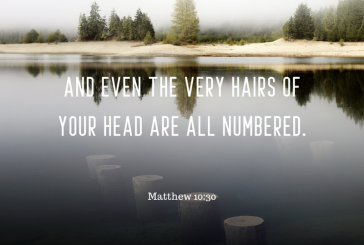 Matthew 10:30