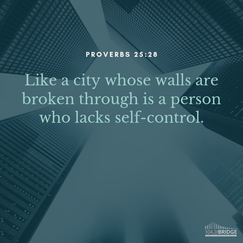 Proverbs 25:28
