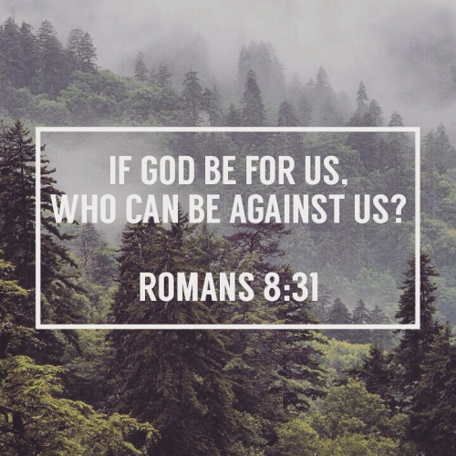 Romans 8:31